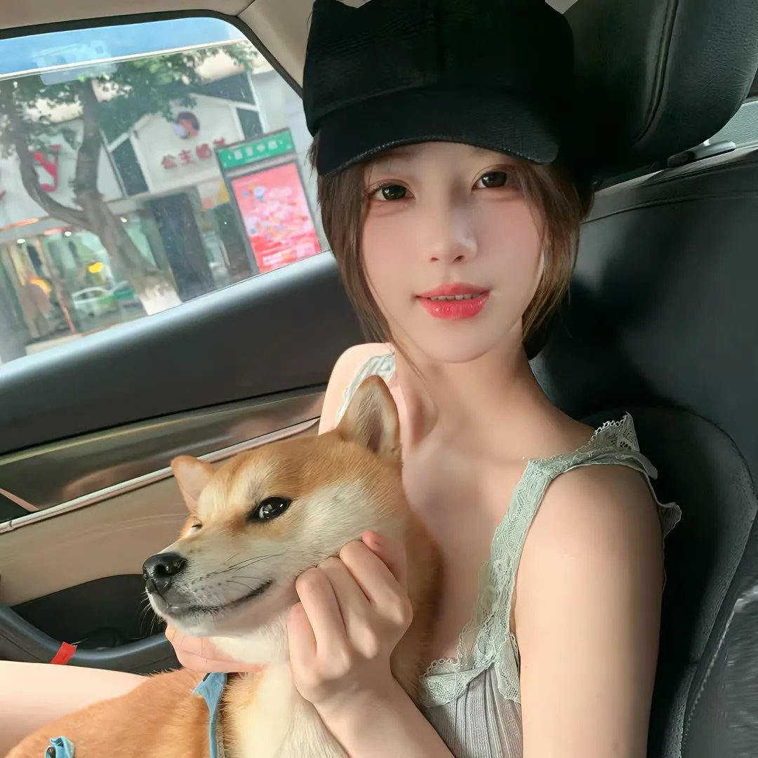 夺宝黑狐岭